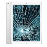 iPad Pro -  Austausch der Displayscheibe inkl. Touchelektronik / LCD       