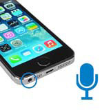iPhone 5S -  Austausch des Mikrofons       